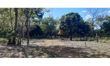 VENDO 1.9 HECTAREAS DE TERRENO EL FRANCES 
