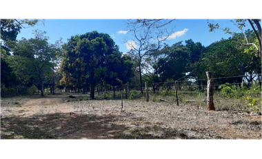 VENDO 1.9 HECTAREAS DE TERRENO EL FRANCES 