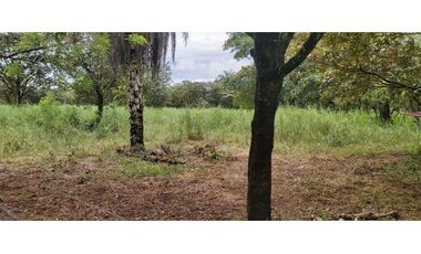 VENDO 1.9 HECTAREAS DE TERRENO EL FRANCES 