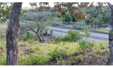 VENDO 1.9 HECTAREAS DE TERRENO EL FRANCES 