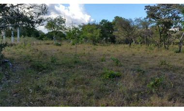 VENDO 1.9 HECTAREAS DE TERRENO EL FRANCES 