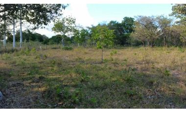 VENDO 1.9 HECTAREAS DE TERRENO EL FRANCES 