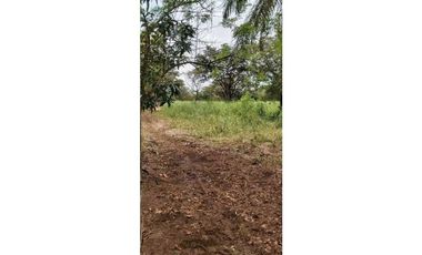 VENDO 1.9 HECTAREAS DE TERRENO EL FRANCES 