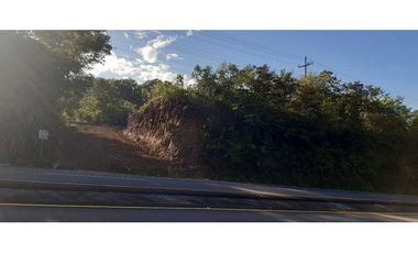 VENDO 1.9 HECTAREAS DE TERRENO EL FRANCES 