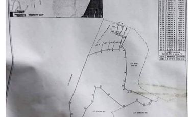 FOR SALE - Vacant Lot in Catmon, Sta. Maria, Bulacan