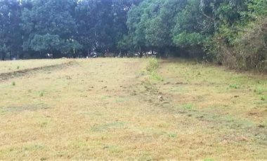 FOR SALE - Vacant Lot in Catmon, Sta. Maria, Bulacan