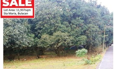 FOR SALE - Vacant Lot in Catmon, Sta. Maria, Bulacan