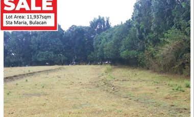 FOR SALE - Vacant Lot in Catmon, Sta. Maria, Bulacan