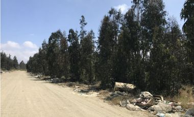 Venta Terreno 21.100 m2 Placilla