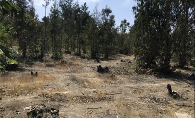 Venta Terreno 21.100 m2 Placilla