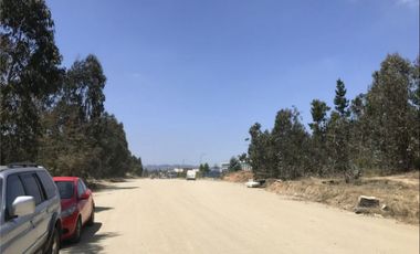 Venta Terreno 21.100 m2 Placilla