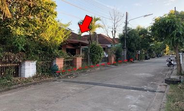 ทรัพย์ บสส. รหัส 8Z5669 บ้านเดี่ยว  หนองคาย