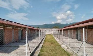 PENSIÓN PARA PERROS EN VENTA EN YAUTEPEC