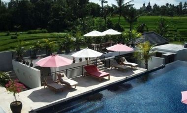 Great Freehold Investment Villa complex in Canggu Bali