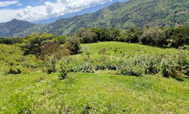 finca en venta en vrda la concepción. Cod V1001205