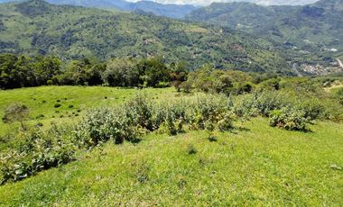 finca en venta en vrda la concepción. Cod V1001205