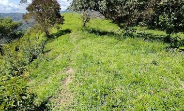 finca en venta en vrda la concepción. Cod V1001205