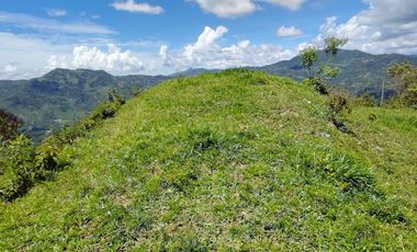 finca en venta en vrda la concepción. Cod V1001205