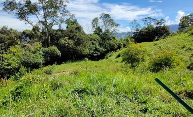 finca en venta en vrda la concepción. Cod V1001205