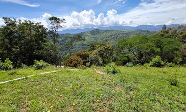finca en venta en vrda la concepción. Cod V1001205