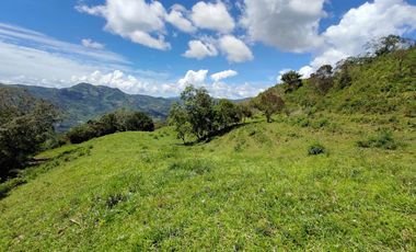 finca en venta en vrda la concepción. Cod V1001205
