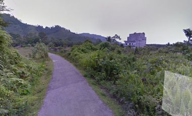 Tanah 5000m2 Berikut 8Lt Rumah Sarang Burung Walet