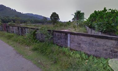 Tanah 5000m2 Berikut 8Lt Rumah Sarang Burung Walet