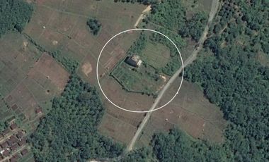 Tanah 5000m2 Berikut 8Lt Rumah Sarang Burung Walet
