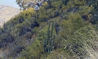 Sitio en Venta en LA LOMITA CON CAMINO LOS REFUGIOS DEL ARRAYAN