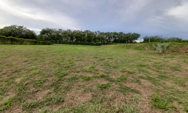 LOTE CAMPESTRE EN VENTA EN SECTOR CERRITOS/PEREIRA