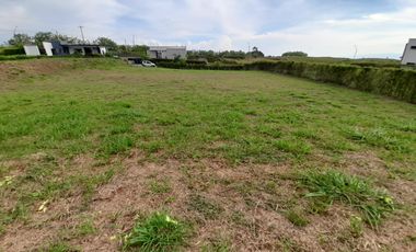 LOTE CAMPESTRE EN VENTA EN SECTOR CERRITOS/PEREIRA