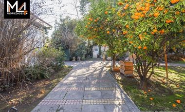 Sitio en Venta en Carlos Silva Vildosola
