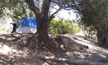 Finca/Rancho en Venta en Zona Cerril General