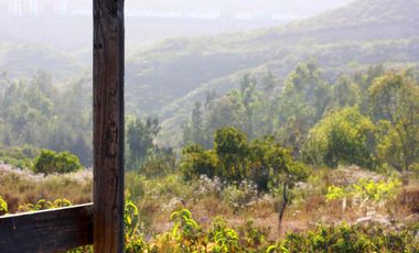 Finca/Rancho en Venta en Zona Cerril General