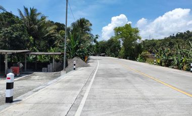 Kavling Murah Utara Jl.Daendels-Purworejo, View Sawah