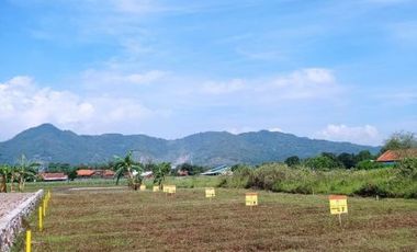 Tanah kavling murah 200jt an luas 87m bojong soang SHM