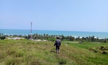 Tanah 8 Ha Pinggir Jalan Raya Cihara Lebak Banten