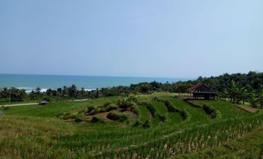 Tanah 8 Ha Pinggir Jalan Raya Cihara Lebak Banten