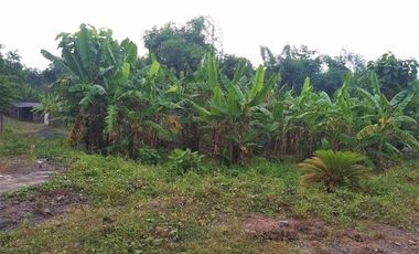 [FA1525] Land for sale, 2520m2 - Mojokerto, East Java