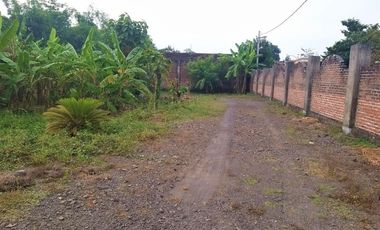 [FA1525] Land for sale, 2520m2 - Mojokerto, East Java