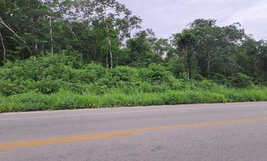 Venta terreno de 8.3 Ha, uso mixto sobre carretera Valladolid–Temozon en Yucatan