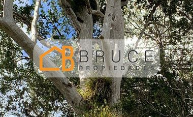 Agrícola en Venta en Sector Huallihuape, cerca del Parque Nacional Alerce Costero, comuna La Unión