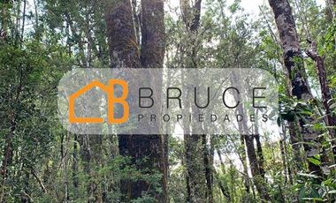 Agrícola en Venta en Sector Huallihuape, cerca del Parque Nacional Alerce Costero, comuna La Unión