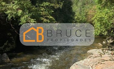 Agrícola en Venta en Sector Huallihuape, cerca del Parque Nacional Alerce Costero, comuna La Unión