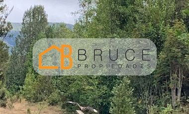 Agrícola en Venta en Sector Huallihuape, cerca del Parque Nacional Alerce Costero, comuna La Unión