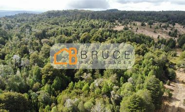 Agrícola en Venta en Sector Huallihuape, cerca del Parque Nacional Alerce Costero, comuna La Unión