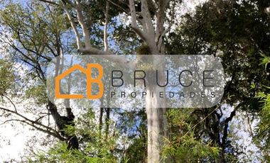 Agrícola en Venta en Sector Huallihuape, cerca del Parque Nacional Alerce Costero, comuna La Unión