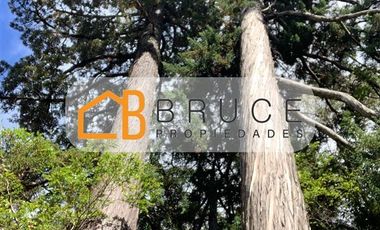 Agrícola en Venta en Sector Huallihuape, cerca del Parque Nacional Alerce Costero, comuna La Unión