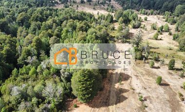 Agrícola en Venta en Sector Huallihuape, cerca del Parque Nacional Alerce Costero, comuna La Unión