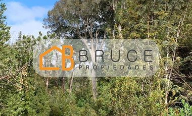 Agrícola en Venta en Sector Huallihuape, cerca del Parque Nacional Alerce Costero, comuna La Unión